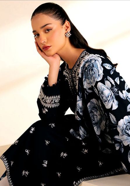 DHANAK 3PC EMBROIDERED